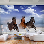 Φωτοταπετσαρια - Horses In The Snow Αδιαβροχη 450x315cm
