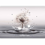 Φωτοταπετσαρια - Wind Drops Αδιαβροχη 350x245cm