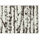 Φωτοταπετσαρια - Stately Birches - First Variant Αδιαβροχη 200x140cm