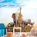 Φωτοταπετσαρια - Fauna Of Africa Αδιαβροχη 100x70cm