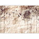 Φωτοταπετσαρια - Paper Nature Αδιαβροχη 450x315cm