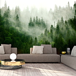 Φωτοταπετσαρια - Mountain Forest (green) Αδιαβροχη 400x280cm