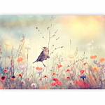 Φωτοταπετσαρια - Field Bird Αδιαβροχη 200x140cm