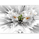 Φωτοταπετσαρια - Floral Explosion Αδιαβροχη 250x175cm