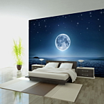 Φωτοταπετσαρια - Moonlit Night Αδιαβροχη 250x175cm