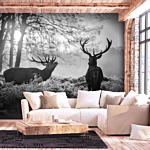 Φωτοταπετσαρια - Deers In The Morning Αδιαβροχη 250x175cm