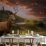 Φωτοταπετσαρια - Deer On Hill Αδιαβροχη 400x280cm