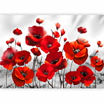 Φωτοταπετσαρια - Poppies In The Moonlight Αδιαβροχη 300x210cm
