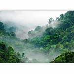 Φωτοταπετσαρια - Morning Fog Αδιαβροχη 200x140cm