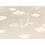 Φωτοταπετσαρια - Mouse On The Moon Αδιαβροχη 250x175cm