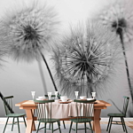 Φωτοταπετσαρια - Time For Dandelions - Second Variant Αδιαβροχη 350x256cm