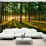 Φωτοταπετσαρια - Mystical Morning Αδιαβροχη 350x256cm