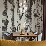 Φωτοταπετσαρια - Stately Birches - First Variant Αδιαβροχη 200x140cm