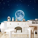 Φωτοταπετσαρια - Moonlit Night Αδιαβροχη 250x175cm