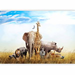 Φωτοταπετσαρια - Fauna Of Africa Αδιαβροχη 100x70cm