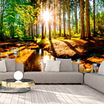 Φωτοταπετσαρια - Marvelous Forest Αδιαβροχη 450x315cm
