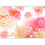 Φωτοταπετσαρια - Pastel Peonies Αδιαβροχη 150x105cm