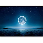 Φωτοταπετσαρια - Moonlit Night Αδιαβροχη 250x175cm