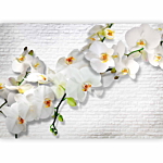 Φωτοταπετσαρια - The Urban Orchid Αδιαβροχη 250x175cm