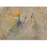 Φωτοταπετσαρια - Peacocks In Dance - Bird Motif Among An Abstract Pattern With Ornaments Αδιαβροχη 350x256cm