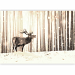 Φωτοταπετσαρια - Deer In The Snow (sepia) Αδιαβροχη 300x210cm