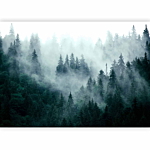 Φωτοταπετσαρια - Mountain Forest (dark Green) Αδιαβροχη 350x245cm