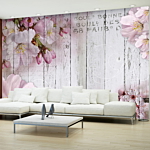 Φωτοταπετσαρια - Apple Blossoms Αδιαβροχη 400x280cm
