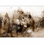 Φωτοταπετσαρια - Mountain Predator (brown) Αδιαβροχη 150x105cm