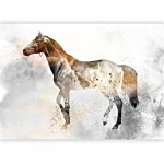 Φωτοταπετσαρια - Fiery Steed Αδιαβροχη 400x280cm