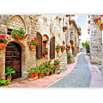 Φωτοταπετσαρια - Italian Province Αδιαβροχη 350x245cm