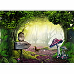 Φωτοταπετσαρια - Owlish Corner Αδιαβροχη 150x105cm