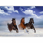 Φωτοταπετσαρια - Horses In The Snow Αδιαβροχη 450x315cm