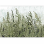 Φωτοταπετσαρια - Tall Grasses - Green Αδιαβροχη 300x210cm