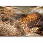 Φωτοταπετσαρια - Dandelions' World (gold) Αδιαβροχη 350x245cm