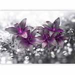 Φωτοταπετσαρια - Secret Of The Lily Αδιαβροχη 250x175cm