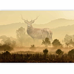 Φωτοταπετσαρια - Dreamlike Image Αδιαβροχη 200x140cm