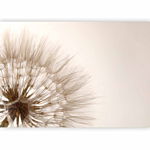Φωτοταπετσαρια - Nature Close-up - Close-up Motif Of A Blowfly Flower In Sepia Αδιαβροχη 150x105cm