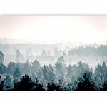 Φωτοταπετσαρια - Winter Forest Αδιαβροχη 400x280cm