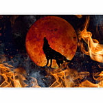Φωτοταπετσαρια - Wild Nature - Wolf On A Background Of A Red Moon In Flames Of Fire Αδιαβροχη 350x256cm