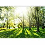 Φωτοταπετσαρια - Sunny May Day Αδιαβροχη 100x70cm