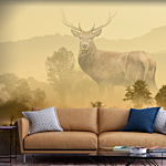 Φωτοταπετσαρια - Dreamlike Image Αδιαβροχη 200x140cm