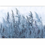 Φωτοταπετσαρια - Tall Grasses - Grey Αδιαβροχη 200x140cm