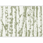 Φωτοταπετσαρια - Stately Birches - Third Variant Αδιαβροχη 350x256cm