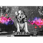Φωτοταπετσαρια - Dj Dog Αδιαβροχη 150x105cm