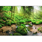 Φωτοταπετσαρια - Humid Forest Αδιαβροχη 300x210cm