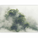 Φωτοταπετσαρια - Foggy Amazon Αδιαβροχη 450x315cm