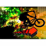 Φωτοταπετσαρια - Bicycle Tricks Αδιαβροχη 350x256cm