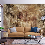 Φωτοταπετσαρια - Lost In The Woods Αδιαβροχη 250x175cm