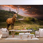 Φωτοταπετσαρια - Deer On Hill Αδιαβροχη 400x280cm