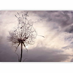Φωτοταπετσαρια - Gentle Wind Αδιαβροχη 150x105cm